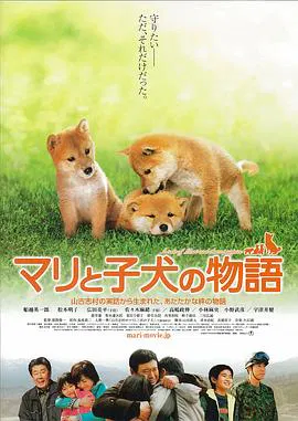 【剧情片】爱犬的奇迹
