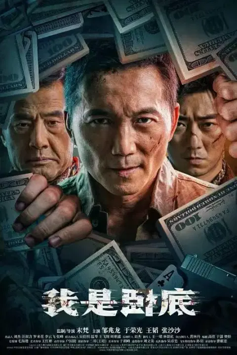 【动作片】我是卧底