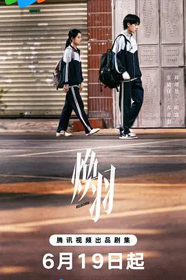 【国产剧】焕羽