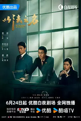 【国产剧】以法之名